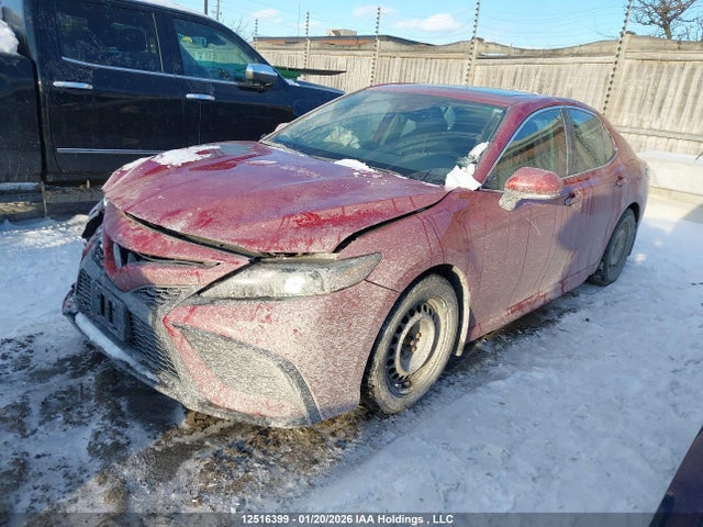 4T1S11AK2MU461013 Toyota CAMRY SE