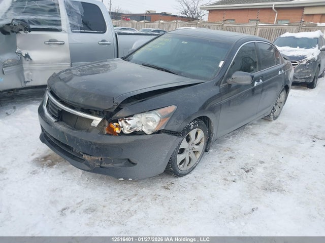 Продаж на аукціоні авто 2010 Honda Accord Ex-l V6, vin: 1HGCP3F89AA801031, номер лоту: 12516401