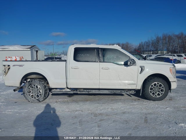 Aukcja sprzedaży 2023 Ford F-150 Xlt, vin: 1FTFW1EDXPFB88978, numer aukcji: 12516431