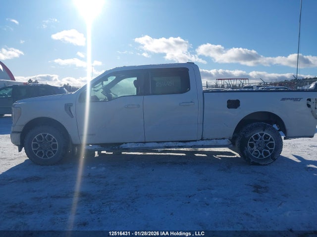 Aukcja sprzedaży 2023 Ford F-150 Xlt, vin: 1FTFW1EDXPFB88978, numer aukcji: 12516431