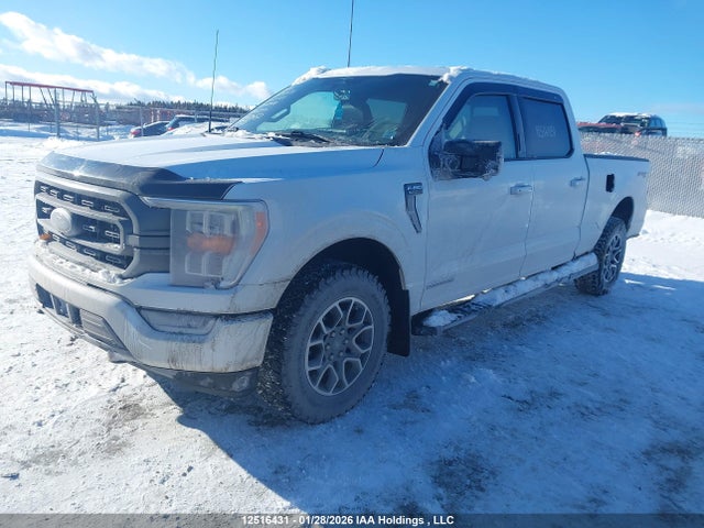 Aukcja sprzedaży 2023 Ford F-150 Xlt, vin: 1FTFW1EDXPFB88978, numer aukcji: 12516431