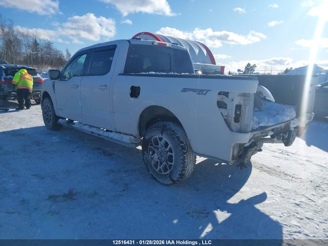 Aukcja sprzedaży 2023 Ford F-150 Xlt, vin: 1FTFW1EDXPFB88978, numer aukcji: 12516431
