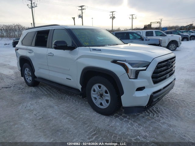 2024 Toyota Sequoia Sr5/ltd/platinum/capstone/trd Pro მანქანა იყიდება აუქციონზე, vin: 7SVAAABA1RX021396, აუქციონის ნომერი: 12516562