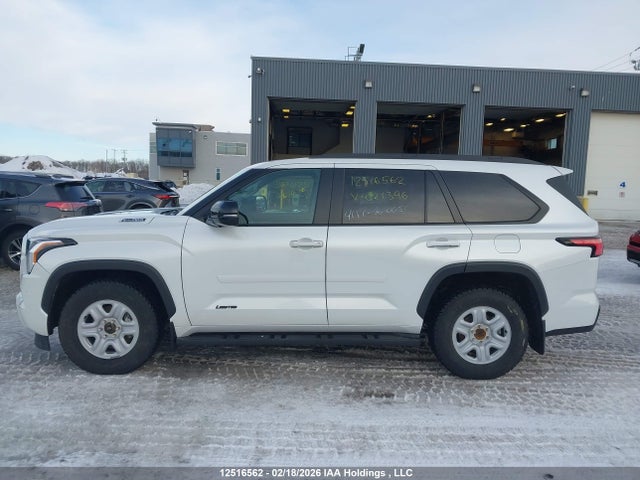 12516562 :رقم المزاد ، 7SVAAABA1RX021396 vin ، 2024 Toyota Sequoia Sr5/ltd/platinum/capstone/trd Pro مزاد بيع