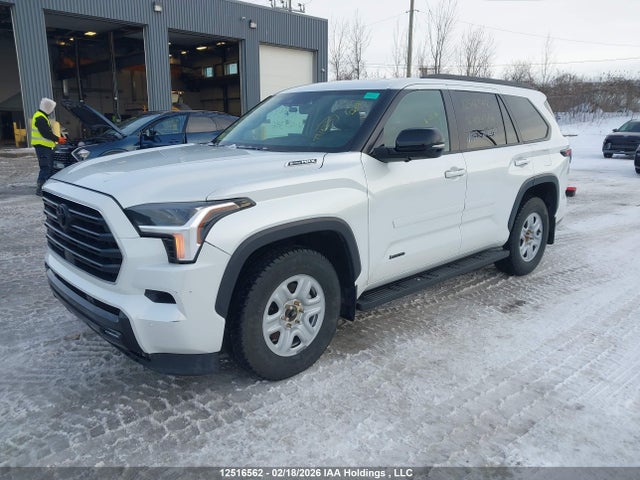 12516562 :رقم المزاد ، 7SVAAABA1RX021396 vin ، 2024 Toyota Sequoia Sr5/ltd/platinum/capstone/trd Pro مزاد بيع