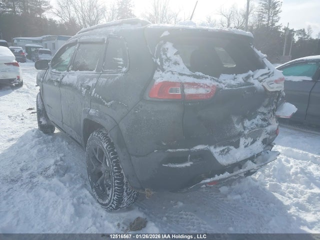 Jeep Cherokee Trailhawk 2015 1C4PJMBS3FW769423 Image 3