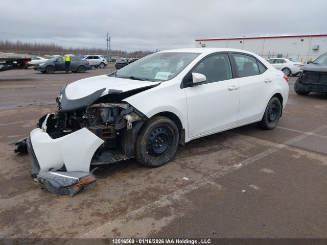 2T1BURHE2JC116308 Toyota Corolla L/le/xle/se/xse