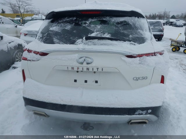 Auction sale of the 2022 Infiniti Qx50, vin: 3PCAJ5AB6NF110008, lot number: 12516586