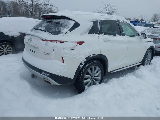 Auction sale of the 2022 Infiniti Qx50, vin: 3PCAJ5AB6NF110008, lot number: 12516586