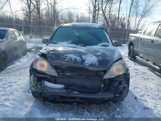 Продаж на аукціоні авто 2010 Honda Cr-v Ex-l, vin: 5J6RE4H77AL810091, номер лоту: 12516639