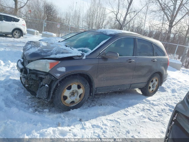 Продаж на аукціоні авто 2010 Honda Cr-v Ex-l, vin: 5J6RE4H77AL810091, номер лоту: 12516639