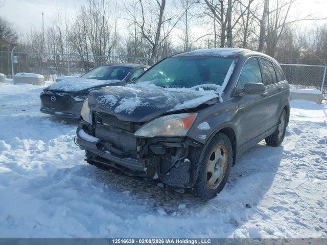 Продаж на аукціоні авто 2010 Honda Cr-v Ex-l, vin: 5J6RE4H77AL810091, номер лоту: 12516639