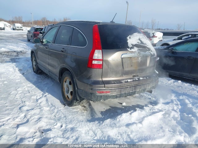 Продаж на аукціоні авто 2010 Honda Cr-v Ex-l, vin: 5J6RE4H77AL810091, номер лоту: 12516639