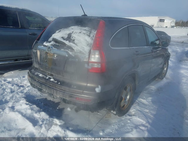 Продаж на аукціоні авто 2010 Honda Cr-v Ex-l, vin: 5J6RE4H77AL810091, номер лоту: 12516639
