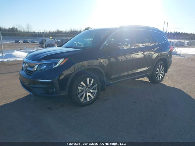 Продажа на аукционе авто 2021 Honda Pilot Ex-l Navi, vin: 5FNYF6H79MB500557, номер лота: 12516698
