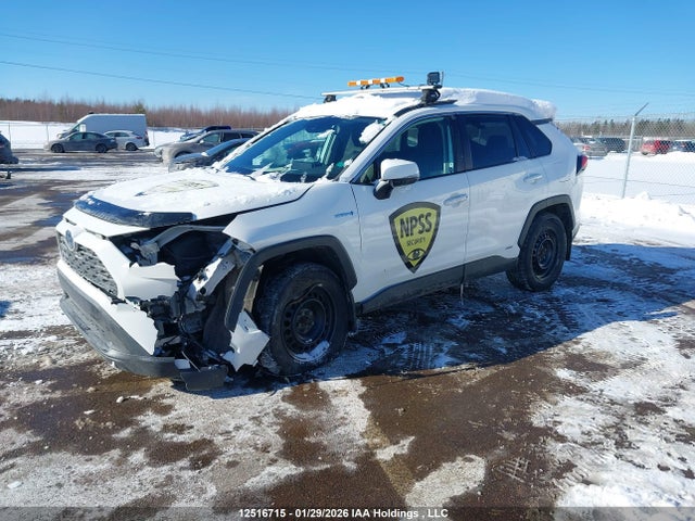 2T3BWRFV4KW018112 Toyota Rav4 Hybrid Le