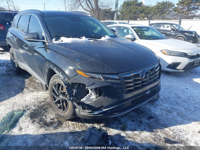 Продаж на аукціоні авто 2022 Hyundai Tucson Sel, vin: KM8JCCAE8NU049692, номер лоту: 12516736