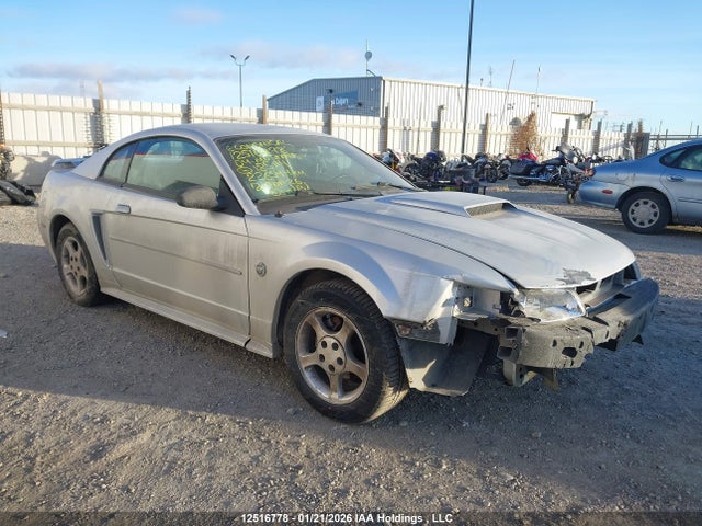 Auction sale of the 2004 Ford Mustang, vin: 1FAFP40624F185114, lot number: 12516778