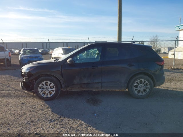 2025 Ford Escape Active მანქანა იყიდება აუქციონზე, vin: 1FMCU9GN2SUB12068, აუქციონის ნომერი: 12517031