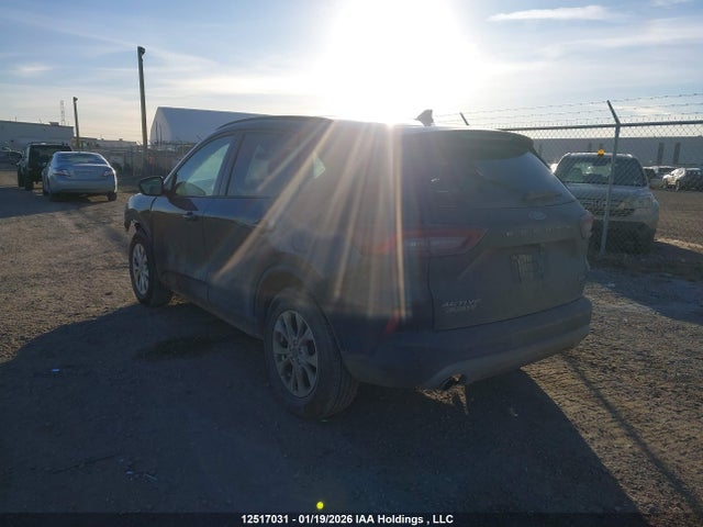 2025 Ford Escape Active მანქანა იყიდება აუქციონზე, vin: 1FMCU9GN2SUB12068, აუქციონის ნომერი: 12517031