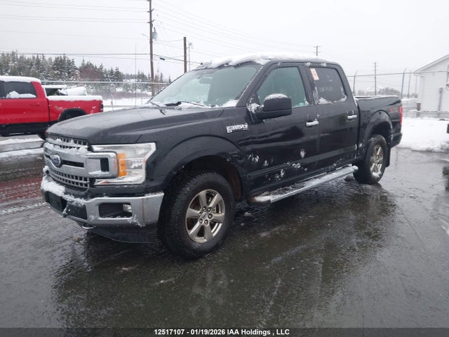 1FTEW1EP1LKF12830 Ford F150 Supercrew