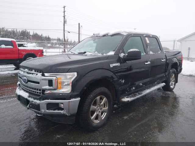1FTEW1EP1LKF12830 Ford F150 Supercrew