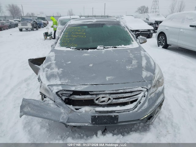 5NPE34AF6GH382510 Hyundai Sonata Sport/limited