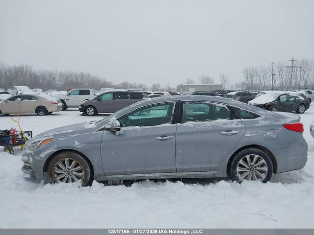 5NPE34AF6GH382510 Hyundai Sonata Sport/limited
