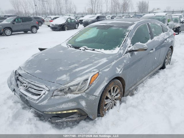 5NPE34AF6GH382510 Hyundai Sonata Sport/limited