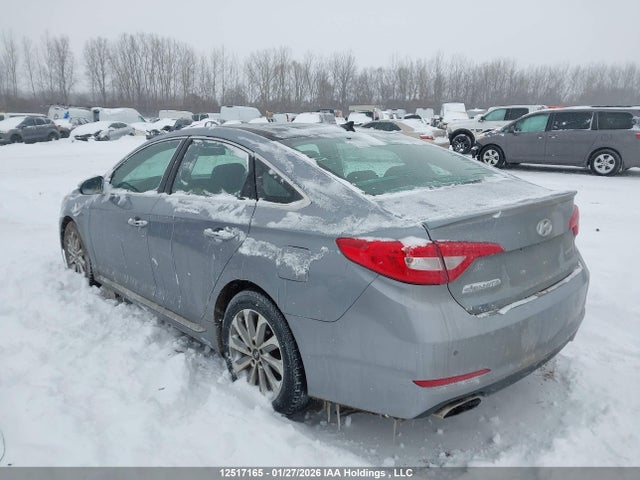 5NPE34AF6GH382510 Hyundai Sonata Sport/limited