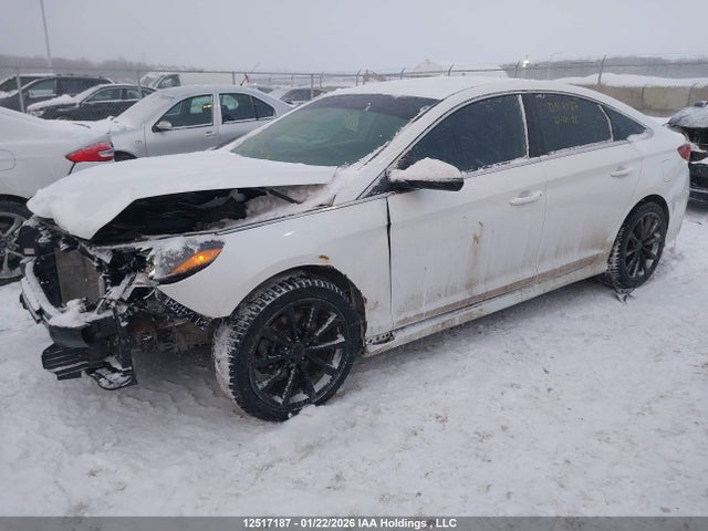 5NPE24AFXJH618196 Hyundai SONATA GL