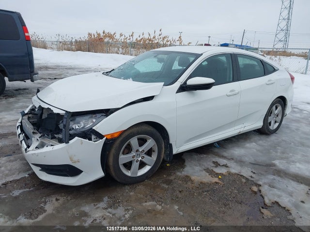 12517396 :رقم المزاد ، 2HGFC2F56HH011366 vin ، 2017 Honda Civic Lx مزاد بيع