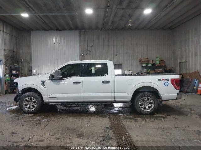 12517479 :رقم المزاد ، 1FTFW1EDXPFC24815 vin ، 2023 Ford F150 Supercrew مزاد بيع