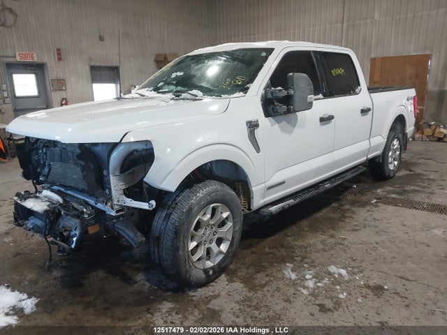 12517479 :رقم المزاد ، 1FTFW1EDXPFC24815 vin ، 2023 Ford F150 Supercrew مزاد بيع