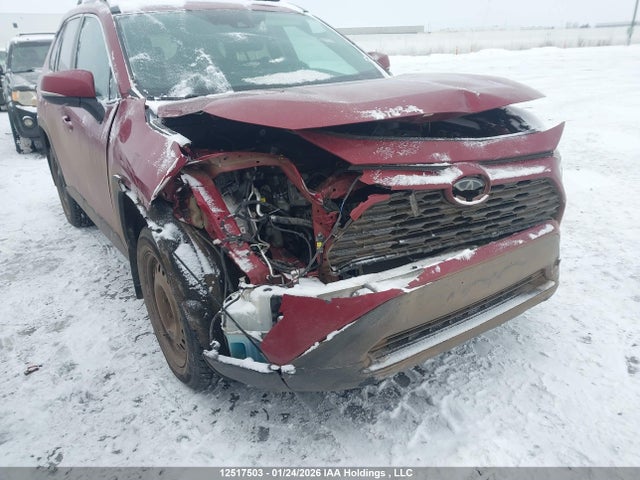 2T3W1RFV0KC026189 Toyota Rav4 Xle