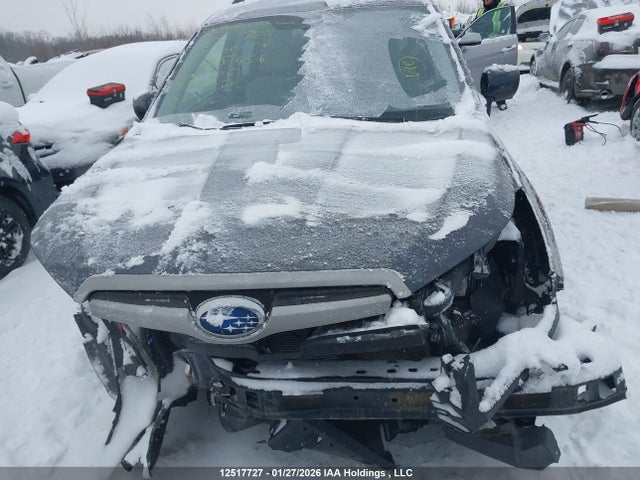 Subaru Forester 2.5i 2015 JF2SJCBCXFH435456 Image 13