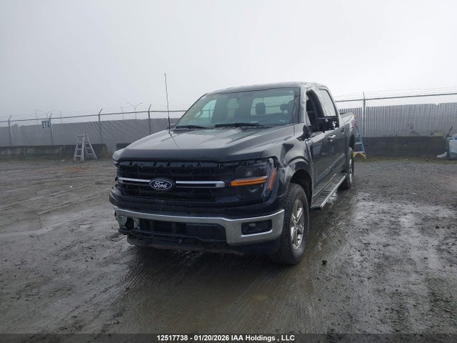 12517738 :رقم المزاد ، 1FTFW3L8XSKE51925 vin ، 2025 Ford F150 Xlt مزاد بيع