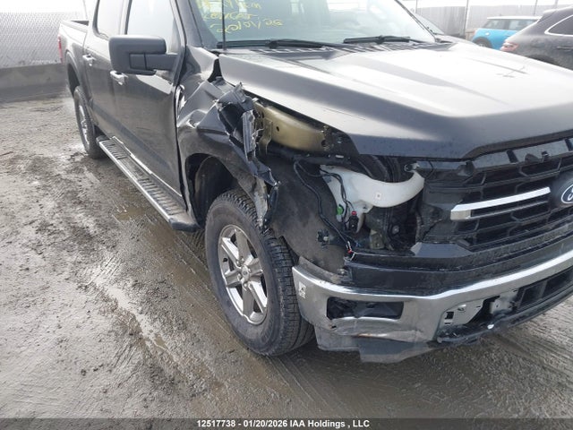 12517738 :رقم المزاد ، 1FTFW3L8XSKE51925 vin ، 2025 Ford F150 Xlt مزاد بيع