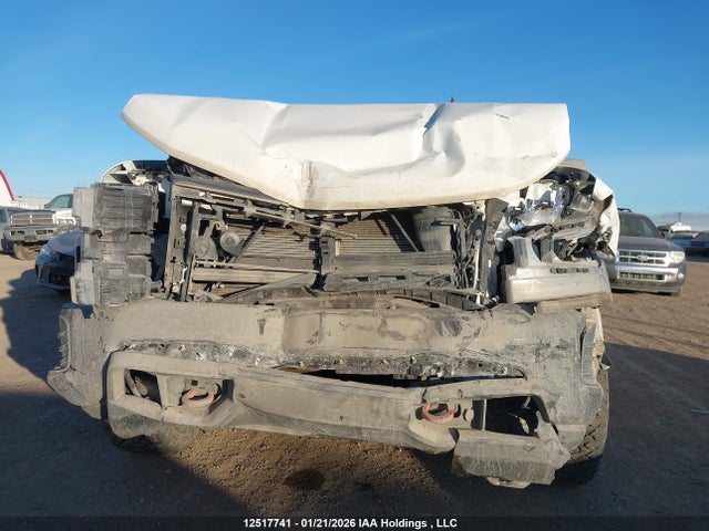Aukcja sprzedaży 2020 Chevrolet Silverado 1500 Lt Trail Boss, vin: 1GCPYFED9LZ197823, numer aukcji: 12517741
