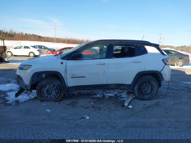 3C4NJDDN8PT550026 Jeep Compass Trailhawk
