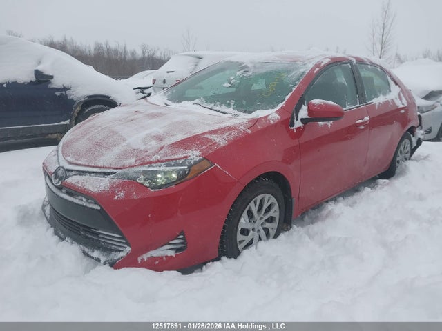 2T1BURHE1KC244105 Toyota COROLLA LE