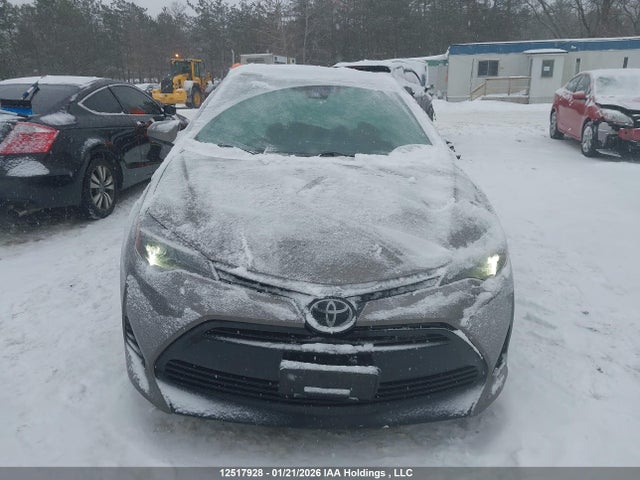 2T1BURHE7KC237126 Toyota Corolla L/le/xle/se/xse