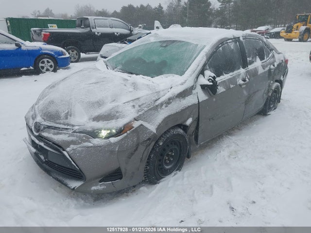 2T1BURHE7KC237126 Toyota Corolla L/le/xle/se/xse