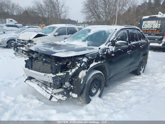 Toyota Rav4 Xle 2024 2T3R1RFV3RC417702 Image 2