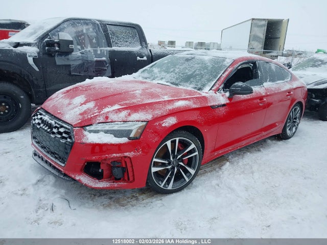 WAUA4CF51PA050226 Audi S5 3.0t Progressiv