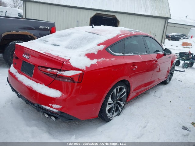 WAUA4CF51PA050226 Audi S5 3.0t Progressiv