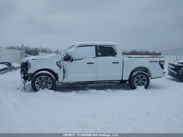 Продажа на аукционе авто 2024 Ford F150 Stx, vin: 1FTEW2LP4RKD89610, номер лота: 12518017