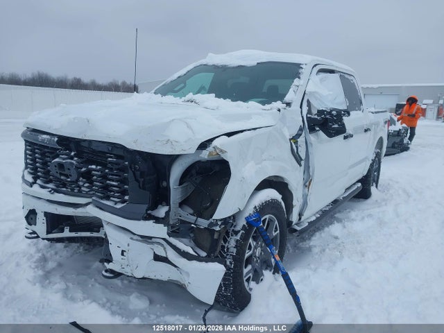Продажа на аукционе авто 2024 Ford F150 Stx, vin: 1FTEW2LP4RKD89610, номер лота: 12518017