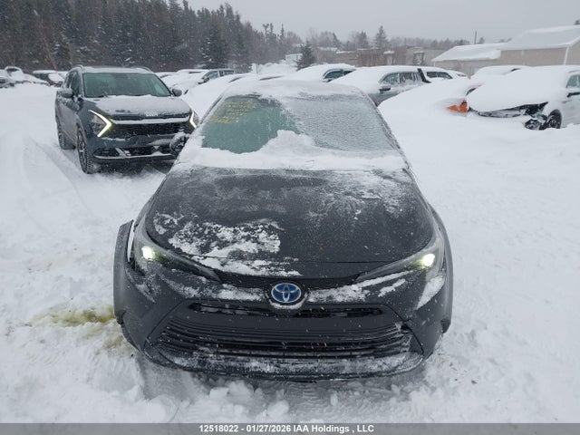 JTDBDMHE7P3000333 Toyota Corolla Hybrid Le