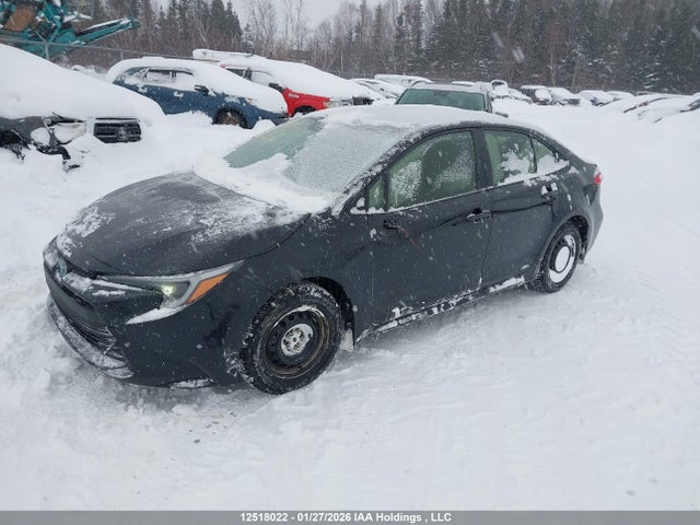 JTDBDMHE7P3000333 Toyota Corolla Hybrid Le